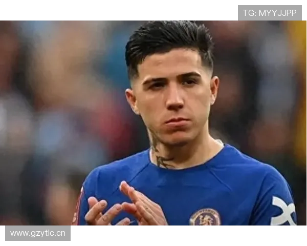 恩佐·费尔南德斯在阿根廷国家队的主力地位分析